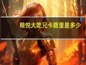粮悦 大吃兄卡路里是多少