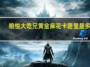 粮悦 大吃兄 黄金麻花卡路里是多少