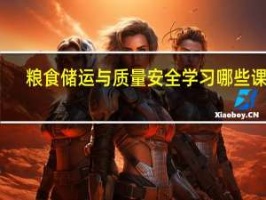 粮食储运与质量安全学习哪些课程