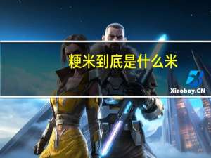 粳米到底是什么米