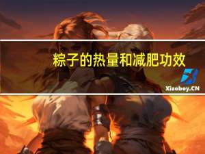 粽子的热量和减肥功效（粽子的热量）