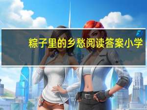 粽子里的乡愁阅读答案小学（粽子里的乡愁阅读答案）