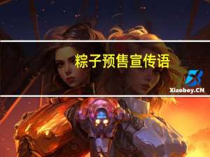 粽子预售宣传语