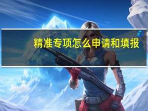 精准专项怎么申请和填报