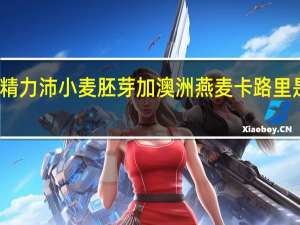 精力沛 小麦胚芽加澳洲燕麦卡路里是多少