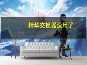 精华交换器没用了（精华交换器怎么用）