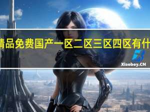 精品免费国产一区二区三区四区有什么区别