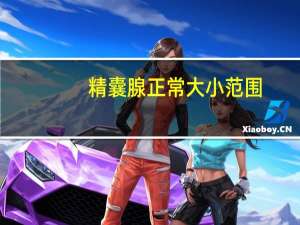 精囊腺正常大小范围（睾丸的正常大小）