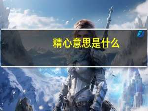 精心意思是什么