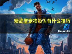 精武堂宠物顿悟有什么技巧
