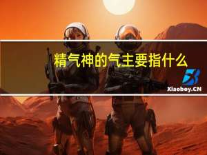 精气神的气主要指什么