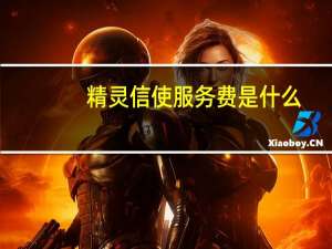 精灵信使服务费是什么