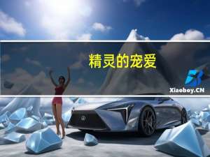 精灵的宠爱（幸福精灵宠物）