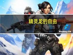 精灵龙的自由（精灵的幼龙）