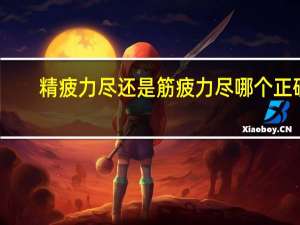 精疲力尽还是筋疲力尽哪个正确（精疲力尽还是筋疲力尽）