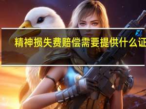 精神损失费赔偿需要提供什么证明