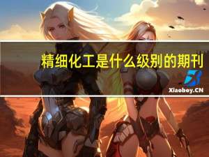 精细化工是什么级别的期刊（精细化工是什么）