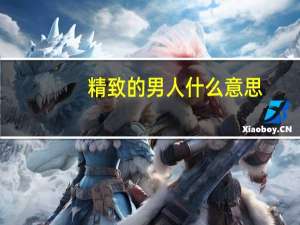 精致的男人什么意思
