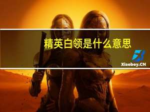 精英白领是什么意思（白领是什么意思）