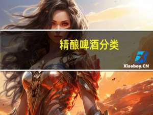 精酿啤酒分类