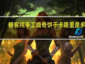 糖客纯手工曲奇饼干卡路里是多少