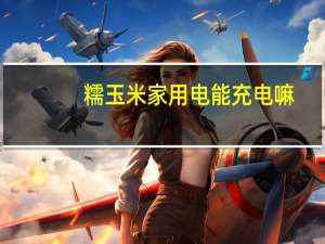 糯玉米家用电能充电嘛