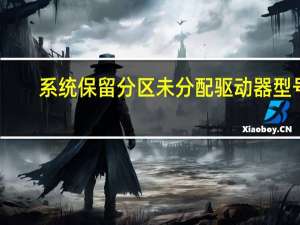 系统保留分区未分配驱动器型号（系统保留分区未分配驱动器号）