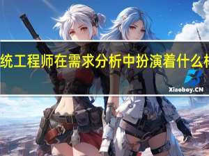 系统工程师在需求分析中扮演着什么样的角色