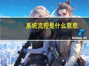 系统流控是什么意思