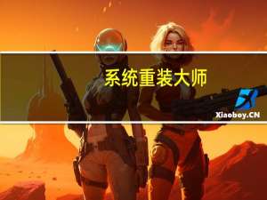 系统重装大师