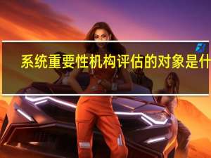 系统重要性机构评估的对象是什么
