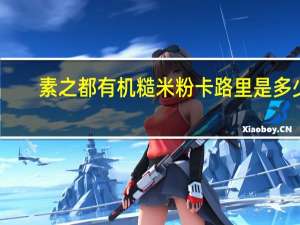 素之都 有机糙米粉卡路里是多少