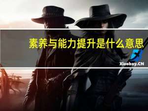 素养与能力提升是什么意思
