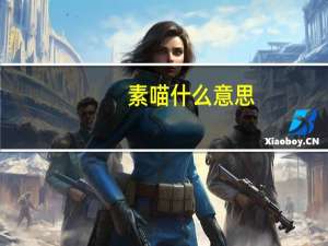 素喵什么意思