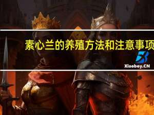 素心兰的养殖方法和注意事项