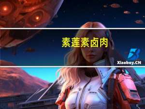 素莲 素卤肉(香辣味)卡路里是多少