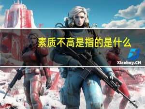 素质不高是指的是什么