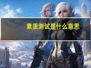素质测试是什么意思