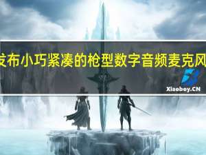 索尼昨晚正式发布小巧紧凑的枪型数字音频麦克风ECMM1售价2499元