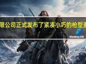 索尼有限公司正式发布了紧凑小巧的枪型麦克风ECMG1