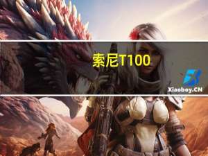 索尼T100（索尼t100）