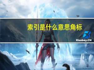 索引是什么意思角标（索引是什么意思）