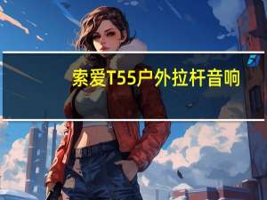 索爱T55户外拉杆音响（索爱t55）