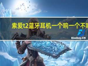 索爱t2蓝牙耳机一个响一个不响（索爱蓝牙耳机一个响一个不响怎么办）