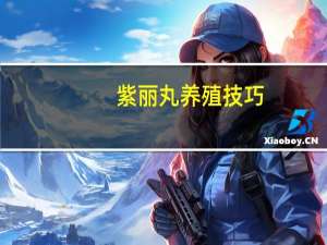 紫丽丸养殖技巧