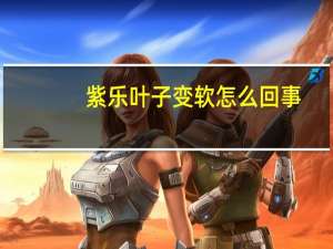 紫乐叶子变软怎么回事