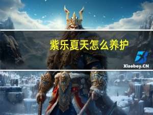 紫乐夏天怎么养护