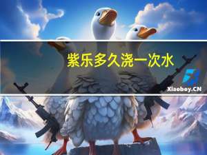 紫乐多久浇一次水