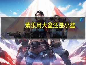 紫乐用大盆还是小盆
