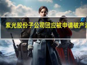 紫光股份子公司回应被申请破产清算